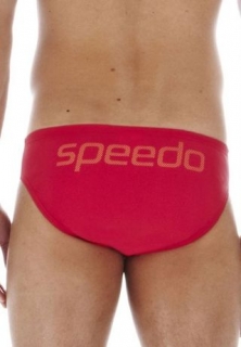 SPEEDO Logo 6.5cm Brief трусы плавки мужские